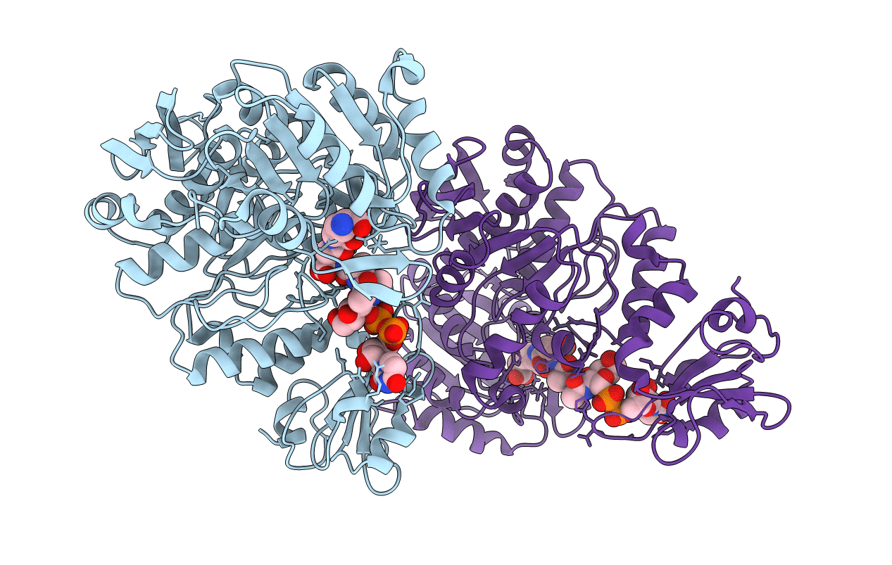 1E8C image