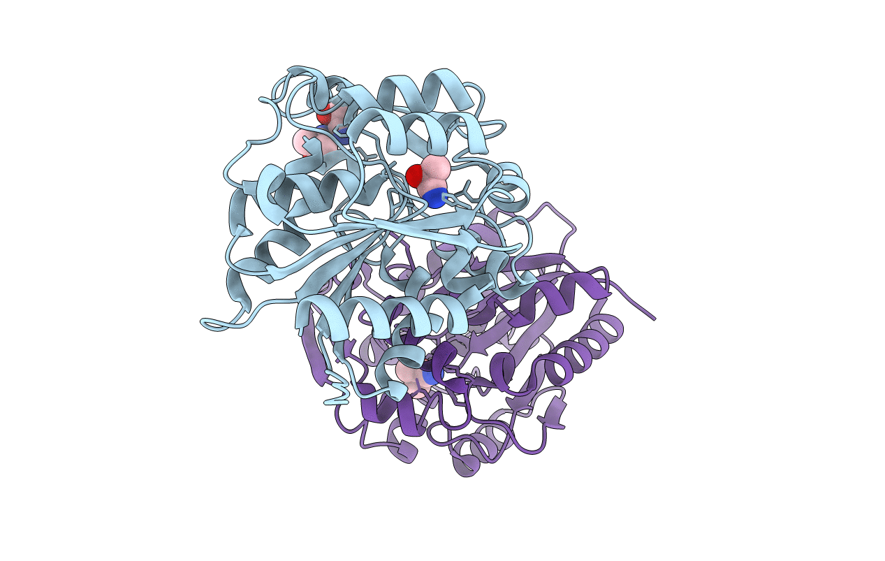 1E8D image