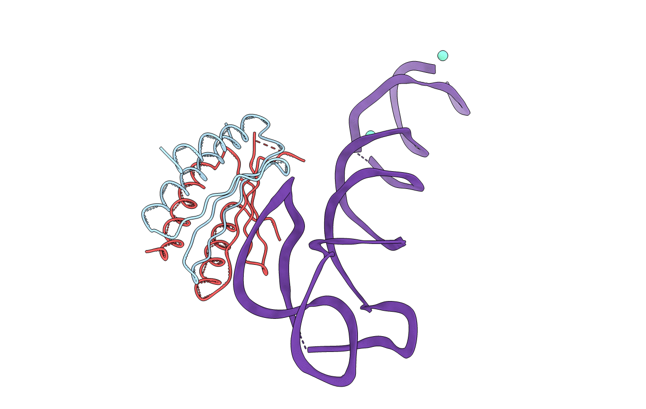 1E8S image