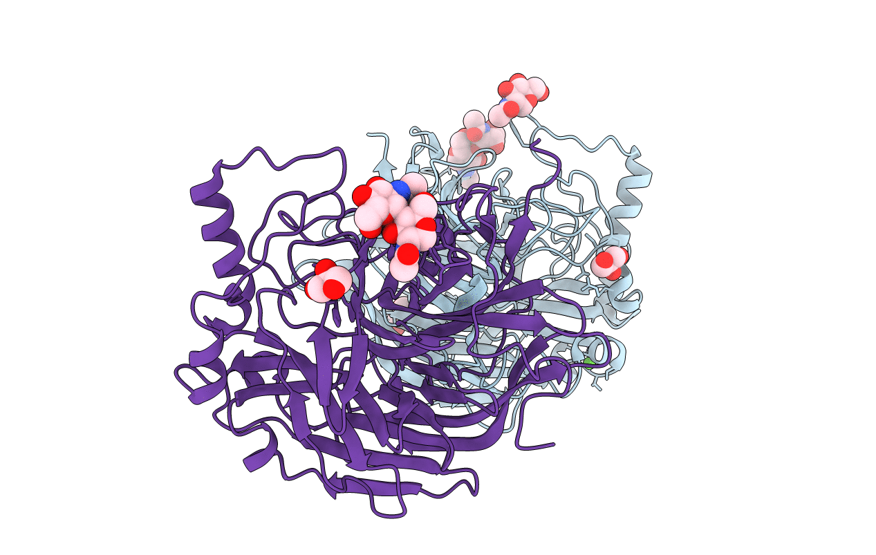 1E8T image