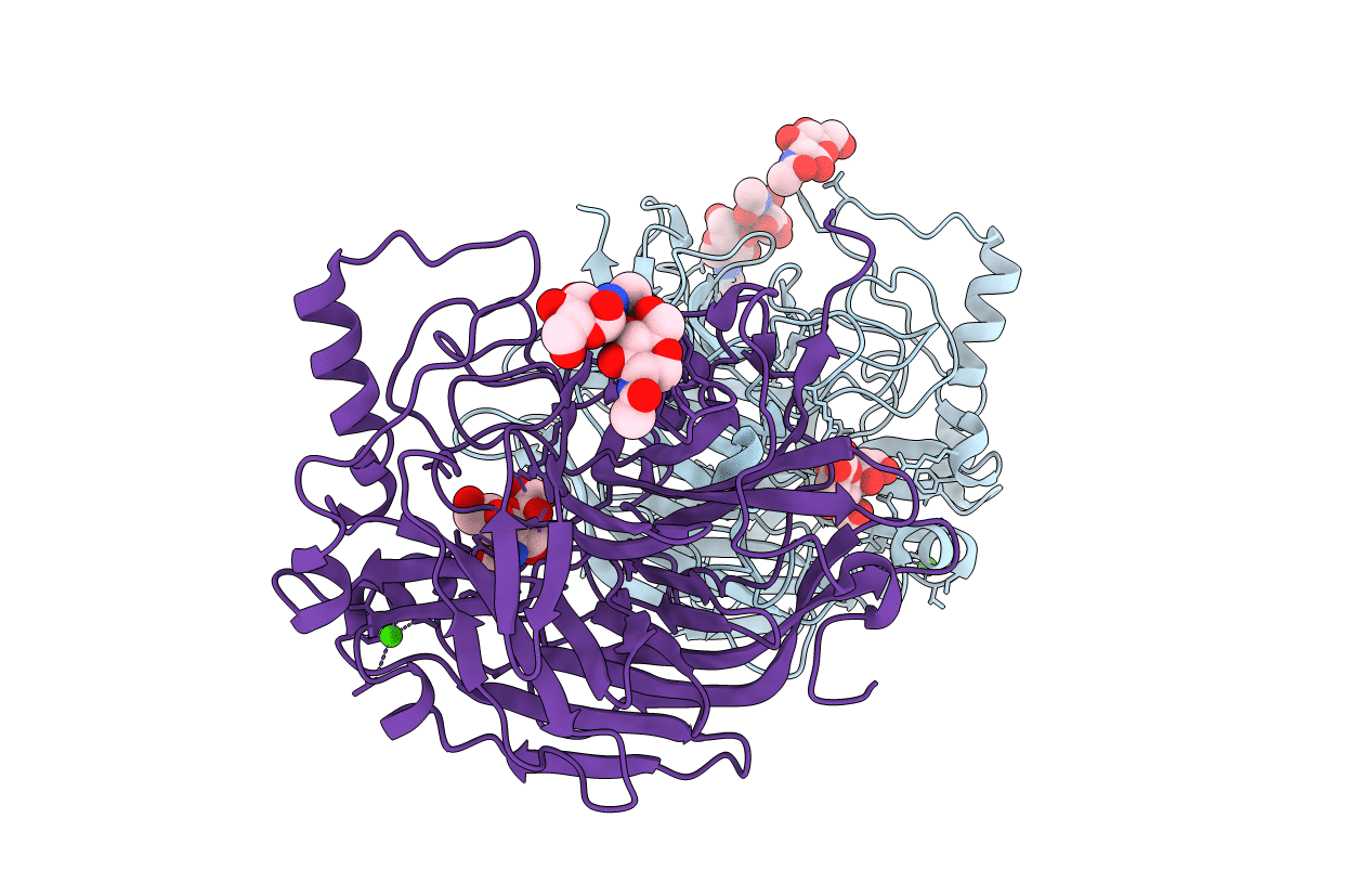 1E8U image