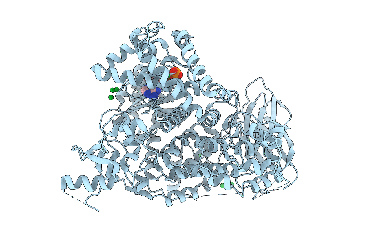 1e8x image