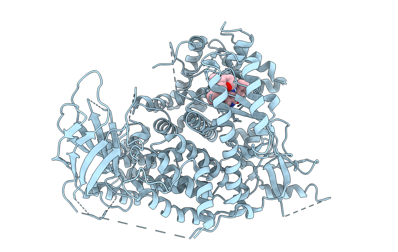 1E8Z image