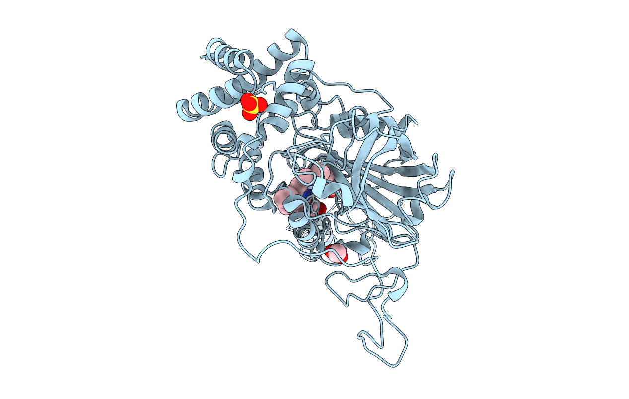 1E93 image