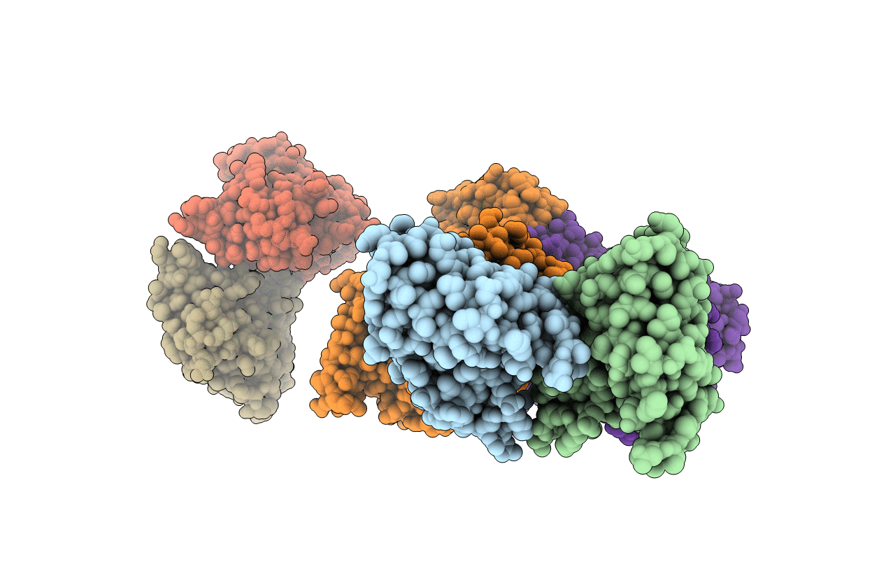 1E94 image