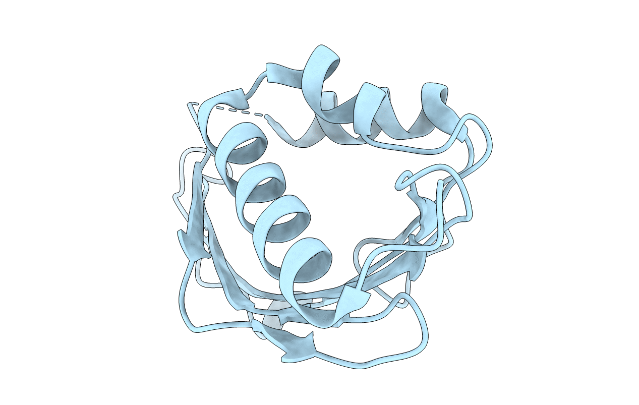 1E97 image