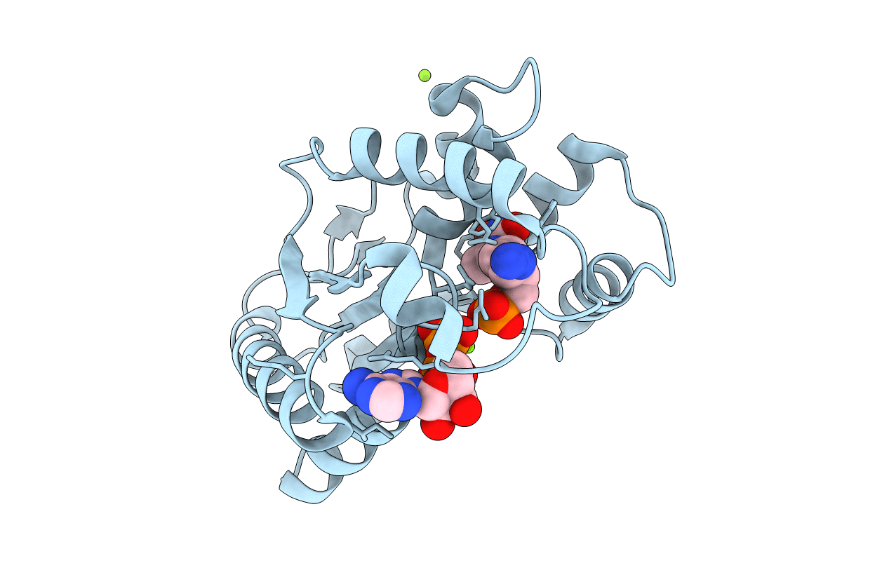 1E99 image