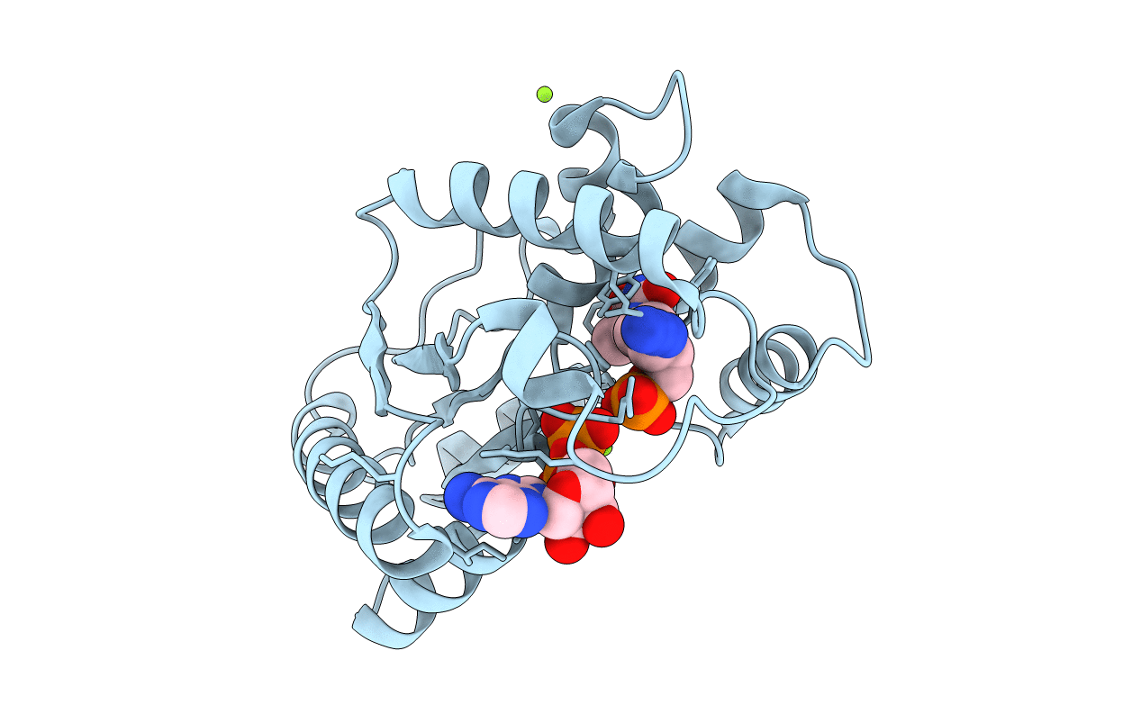 1E9D image