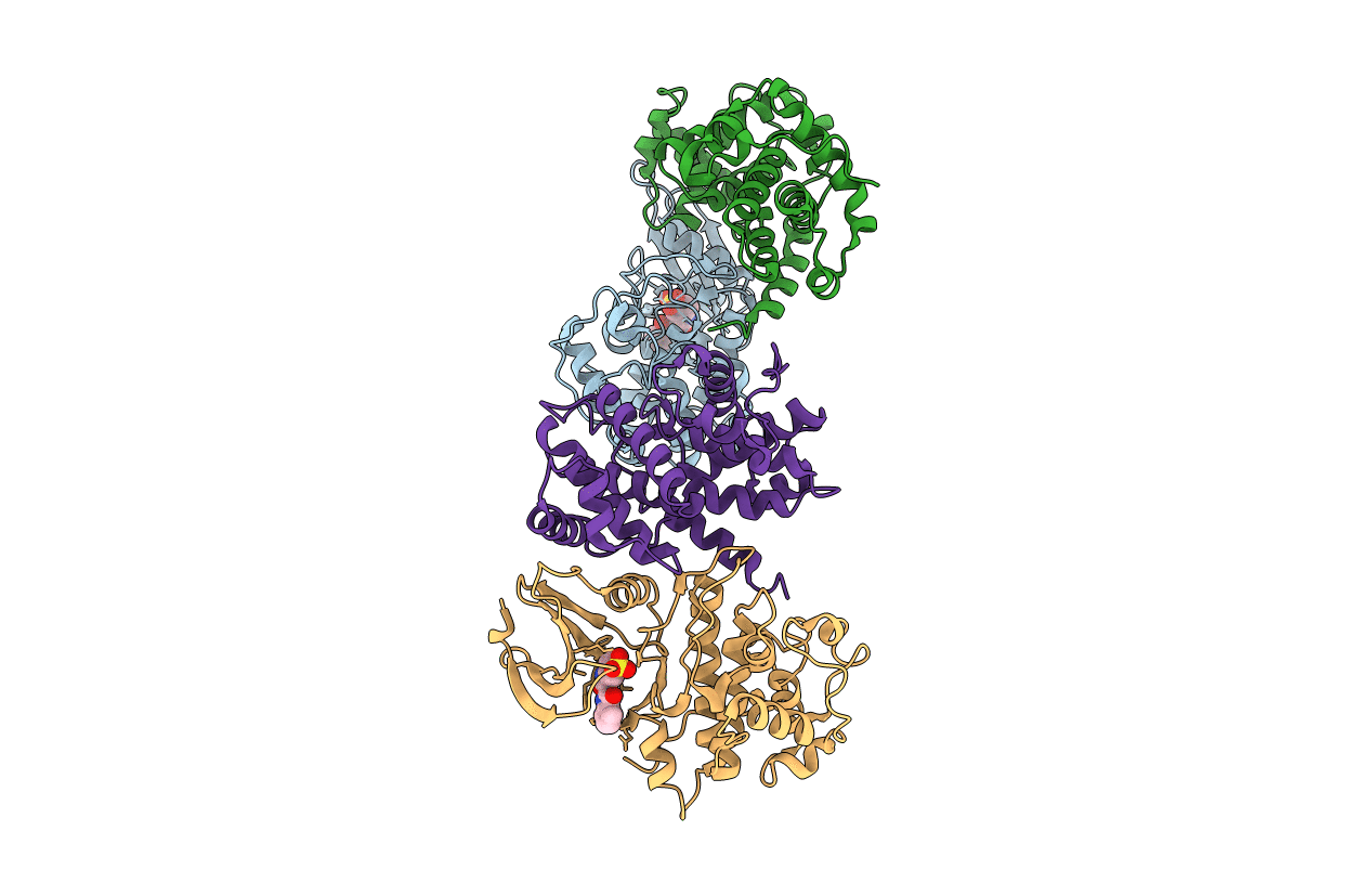 1E9H image