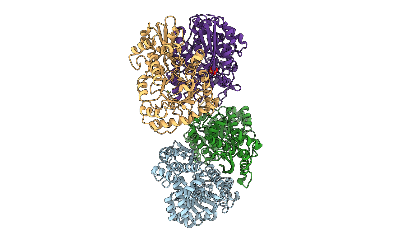 1E9I image