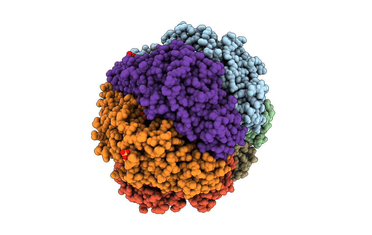 1E9R image