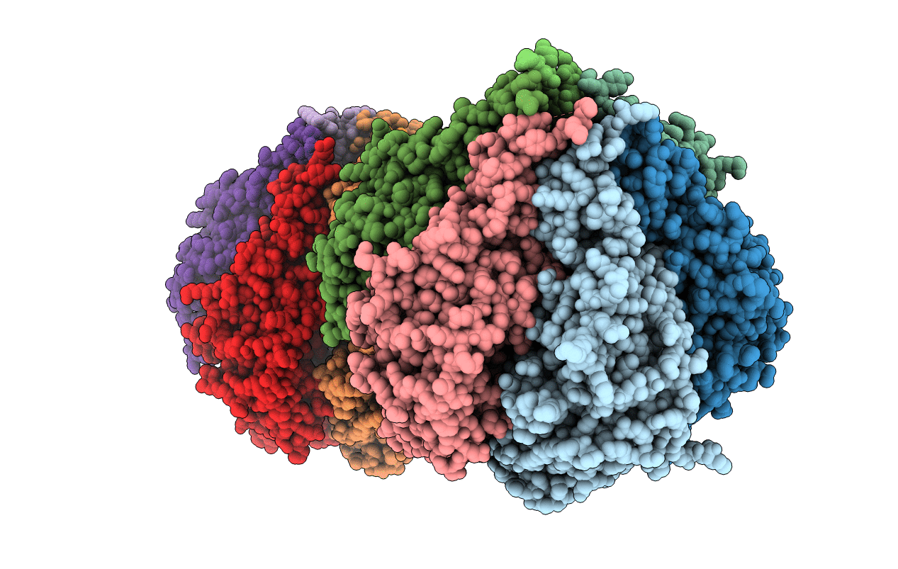 1E9S image