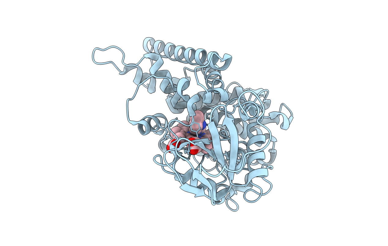 1E9X image