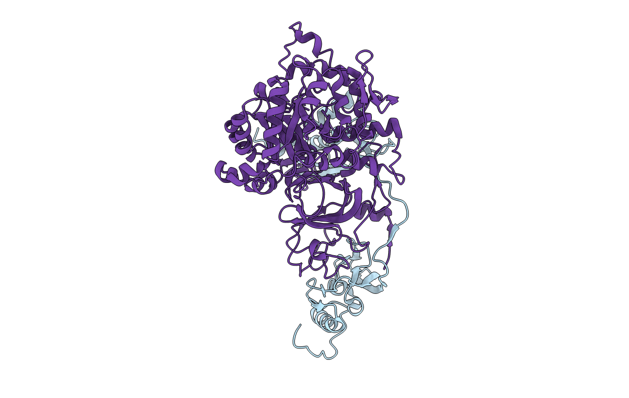 1E9Z image