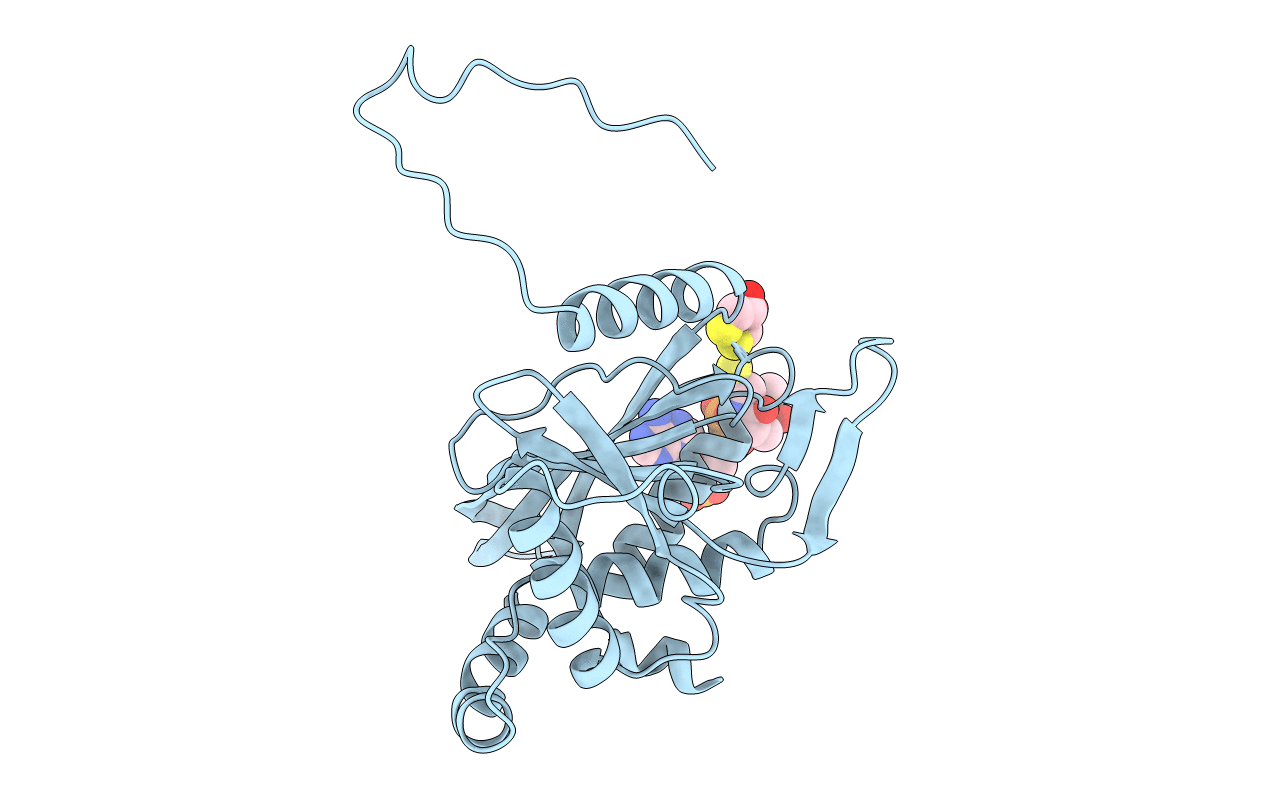 1EAC image