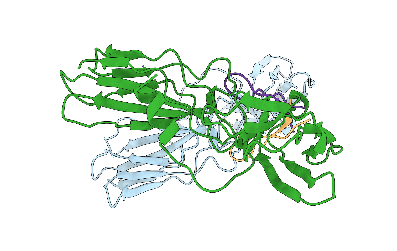 1EBP image