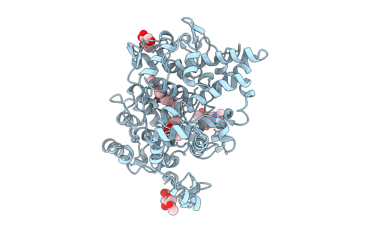 1EBV image