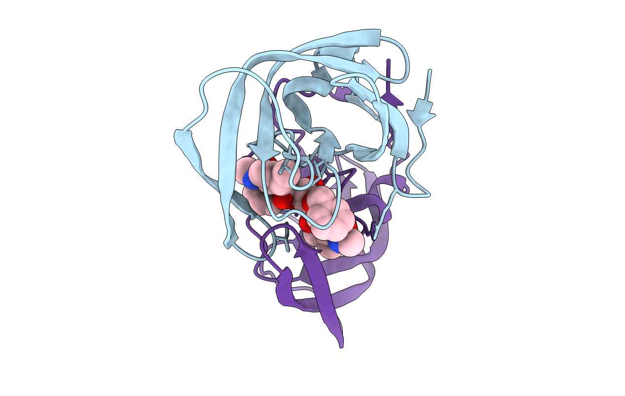 1EBW image