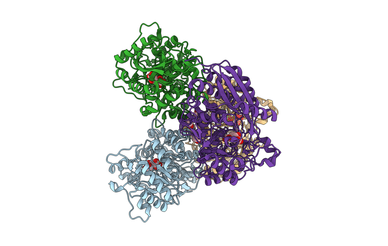 1EC8 image