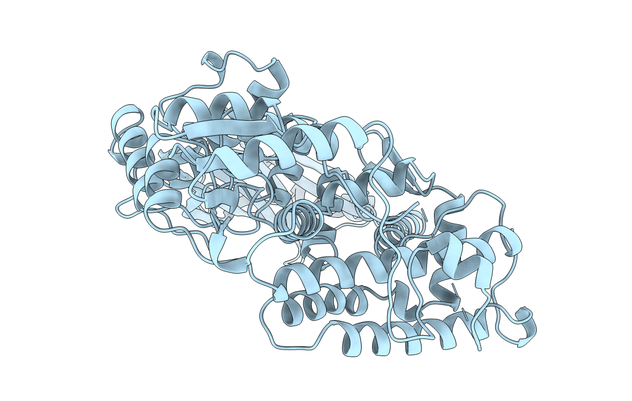 1ECL image