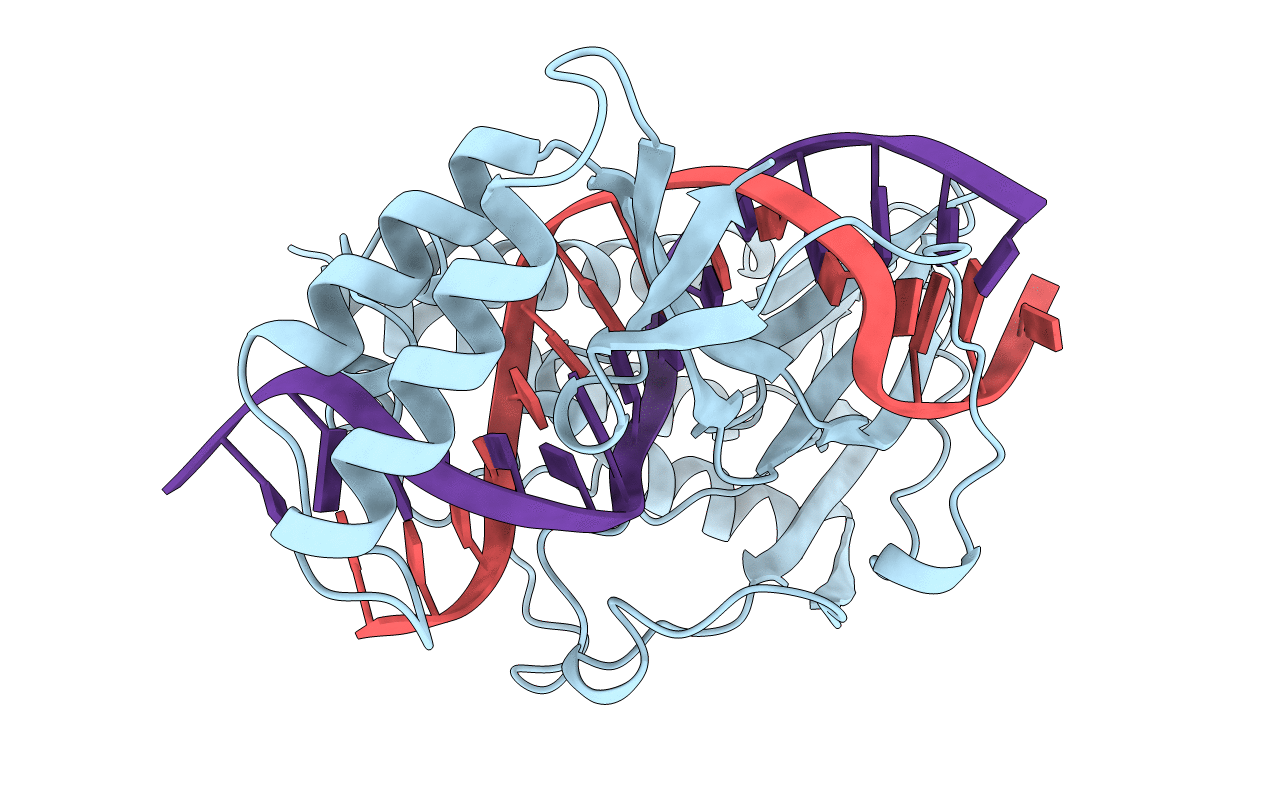 1ECR image