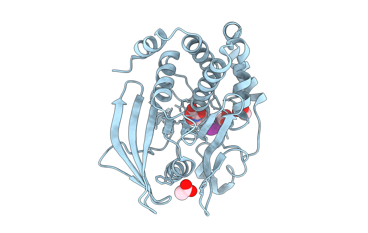1ECV image
