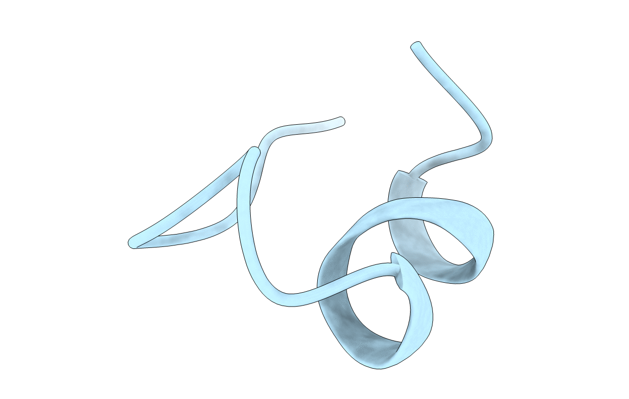 1EDP image