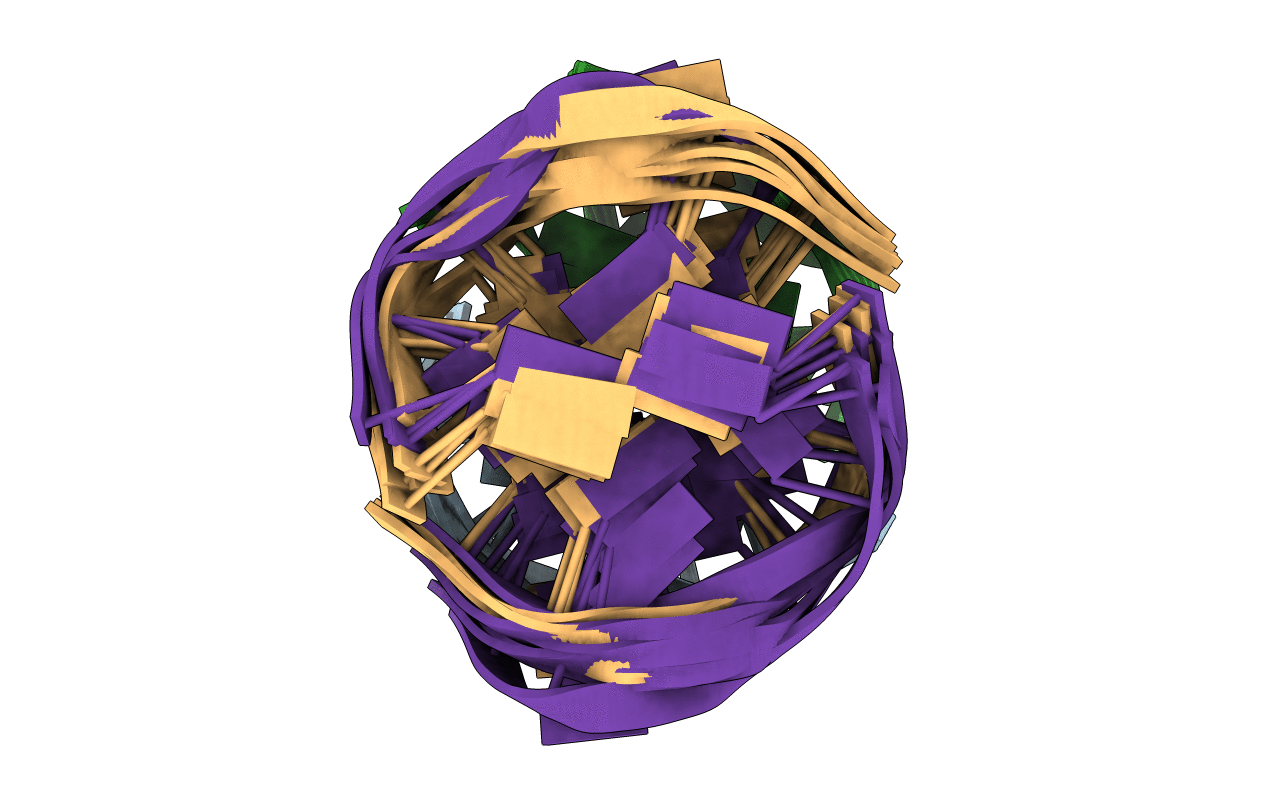 1EEG image
