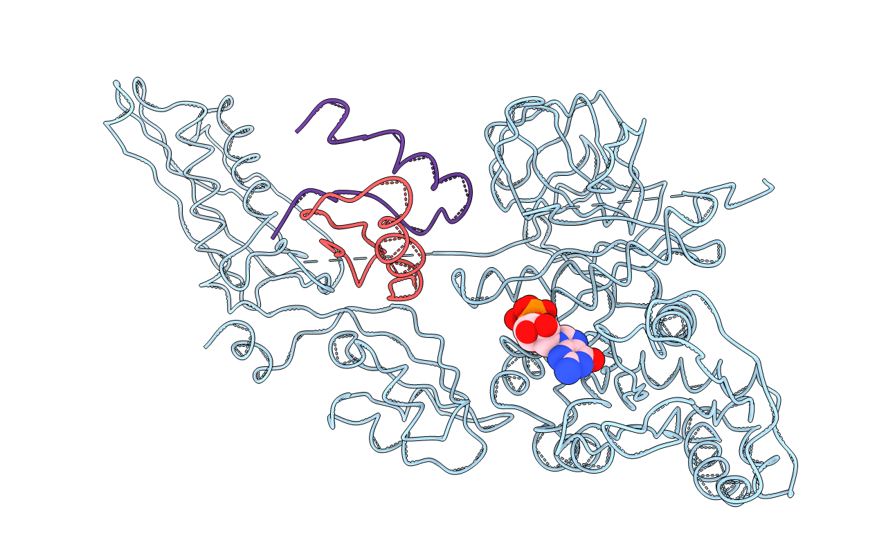 1EFG image