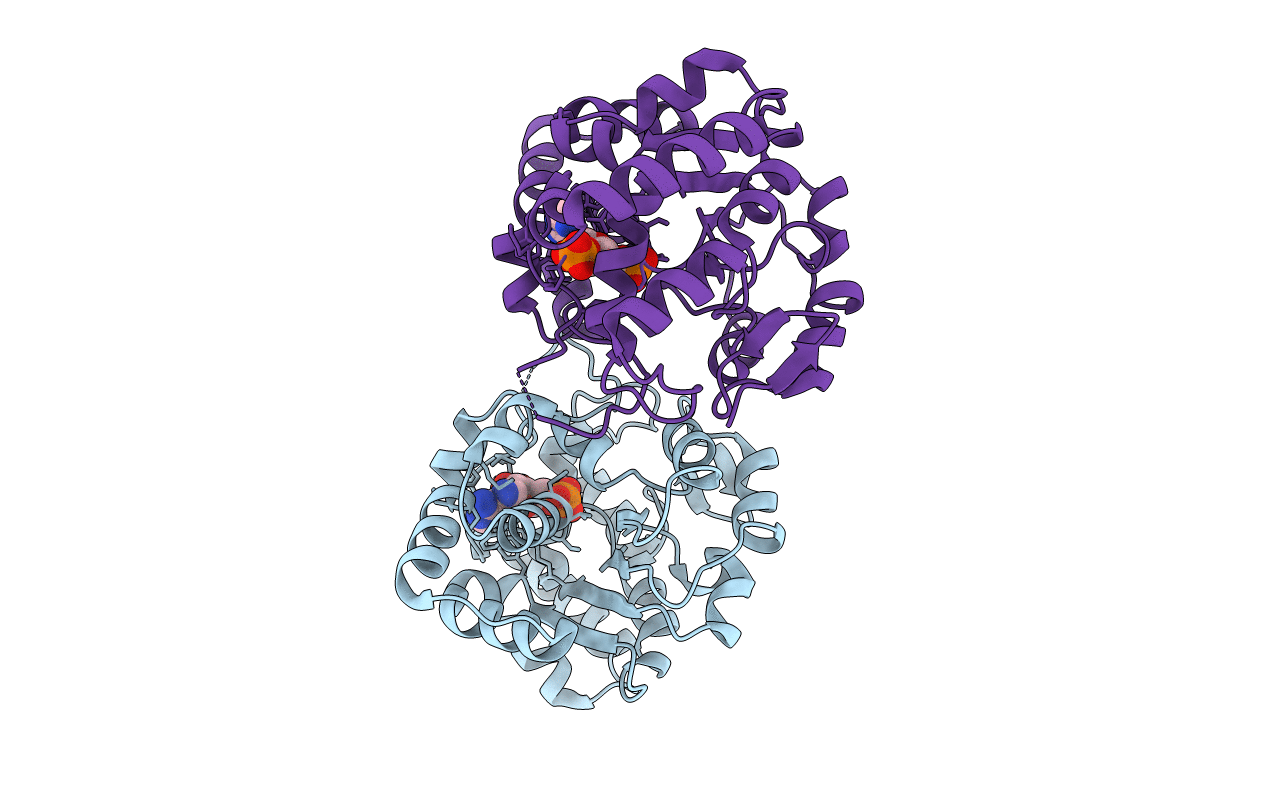 1EFH image