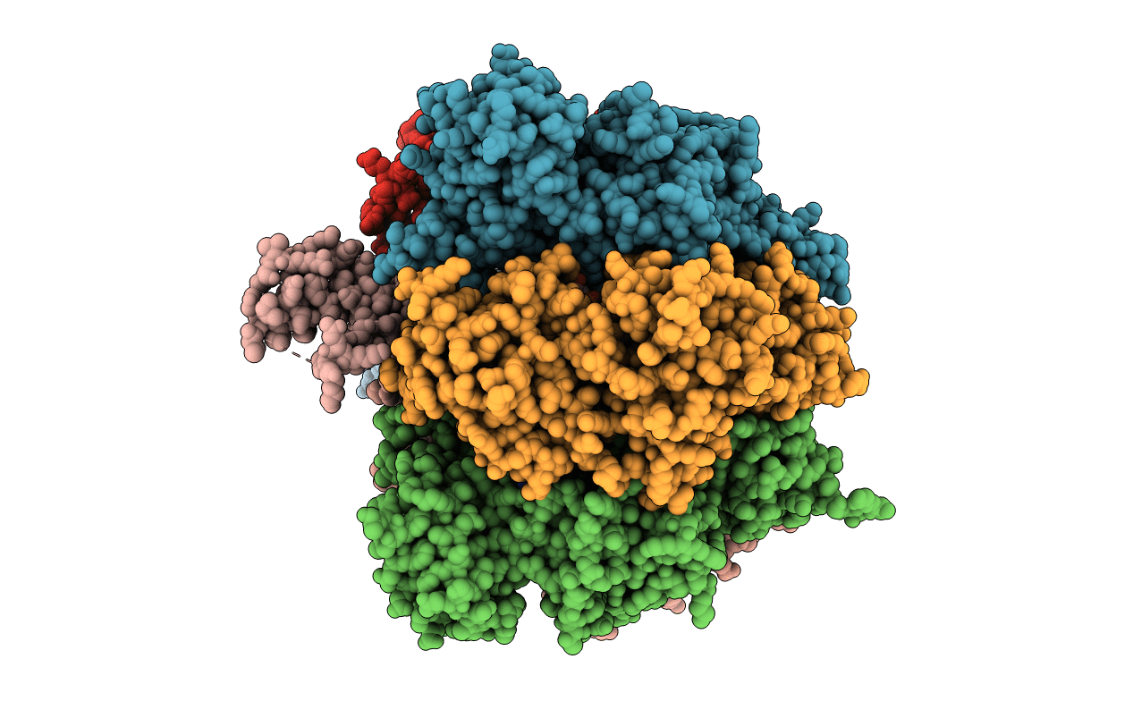 1EFR image