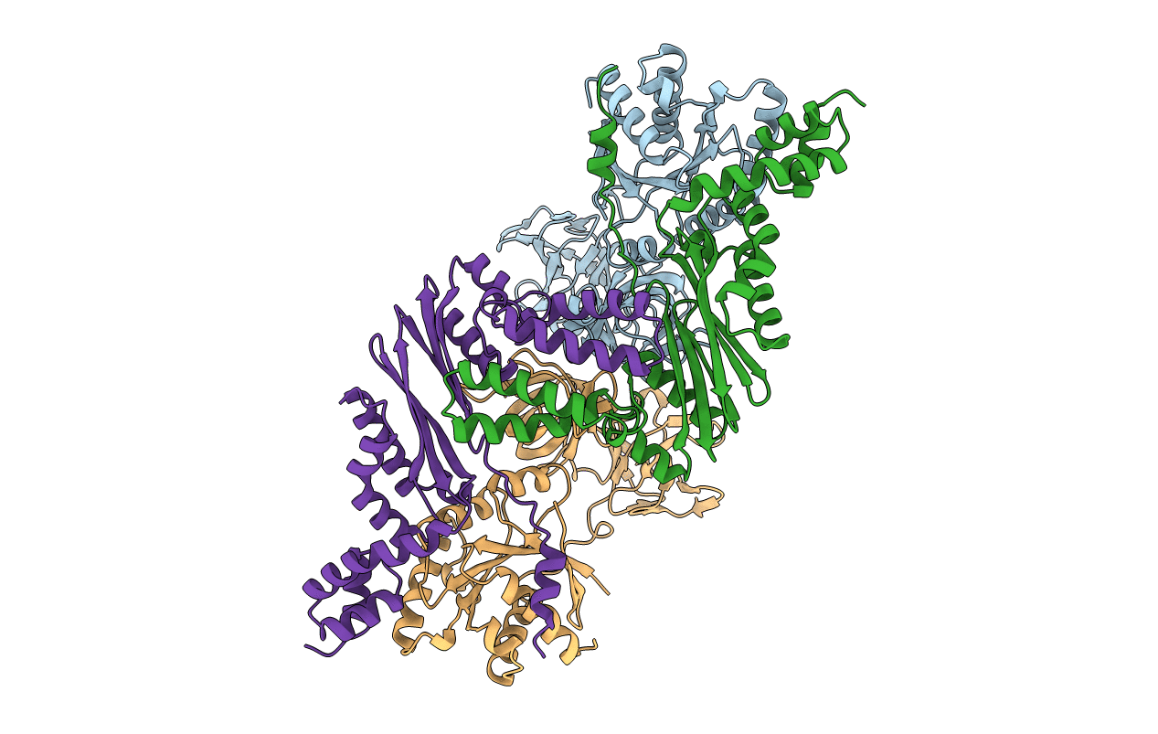 1EFU image