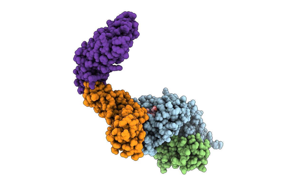 1EFX image