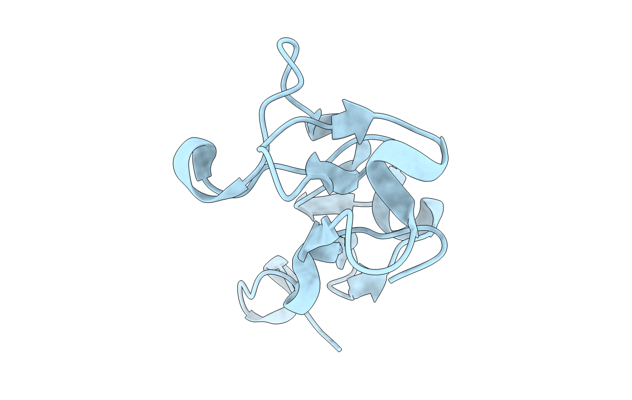 1EHD image