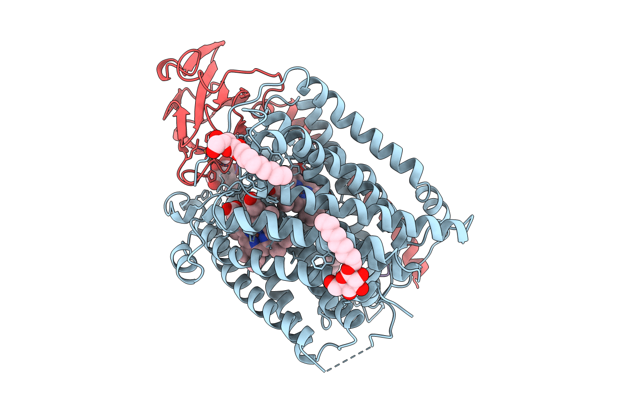 1EHK image