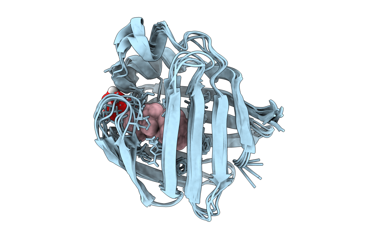1EIO image