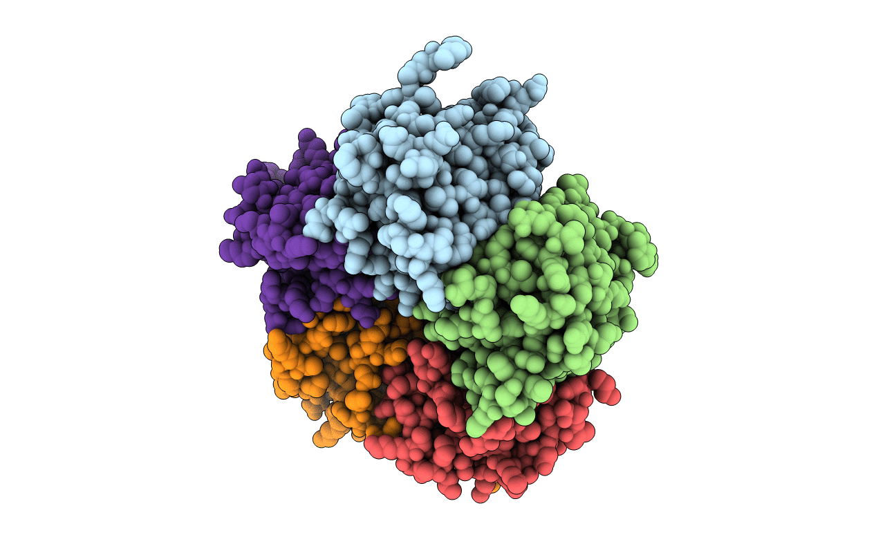 1EJB image