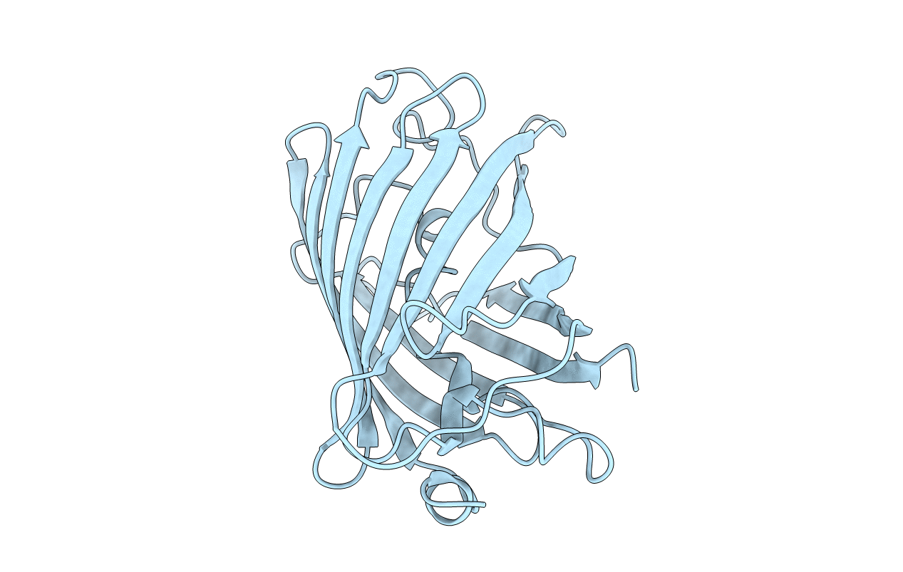 1EMA image