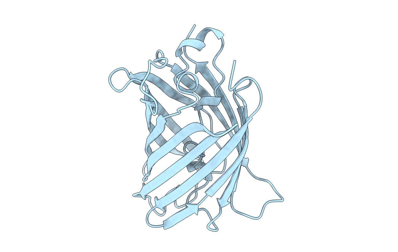 1EMF image