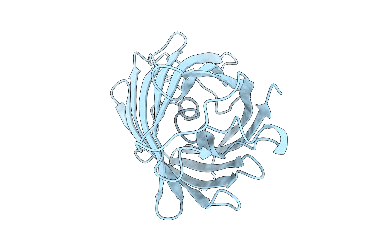 1EMM image