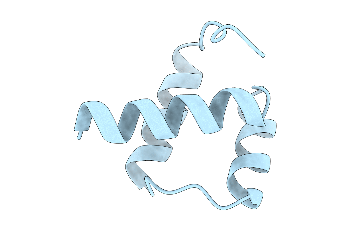 1ENH image
