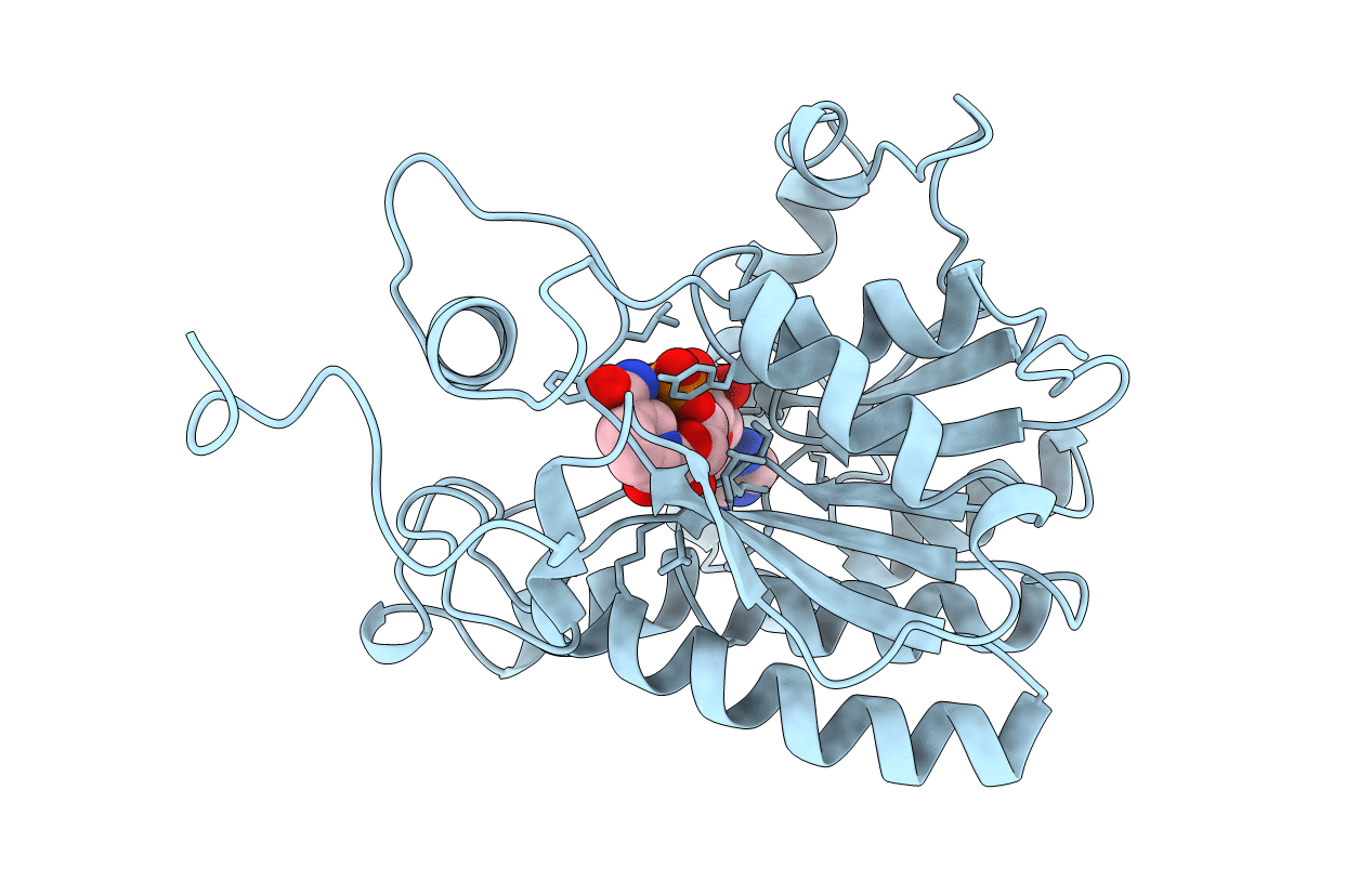 1ENP image
