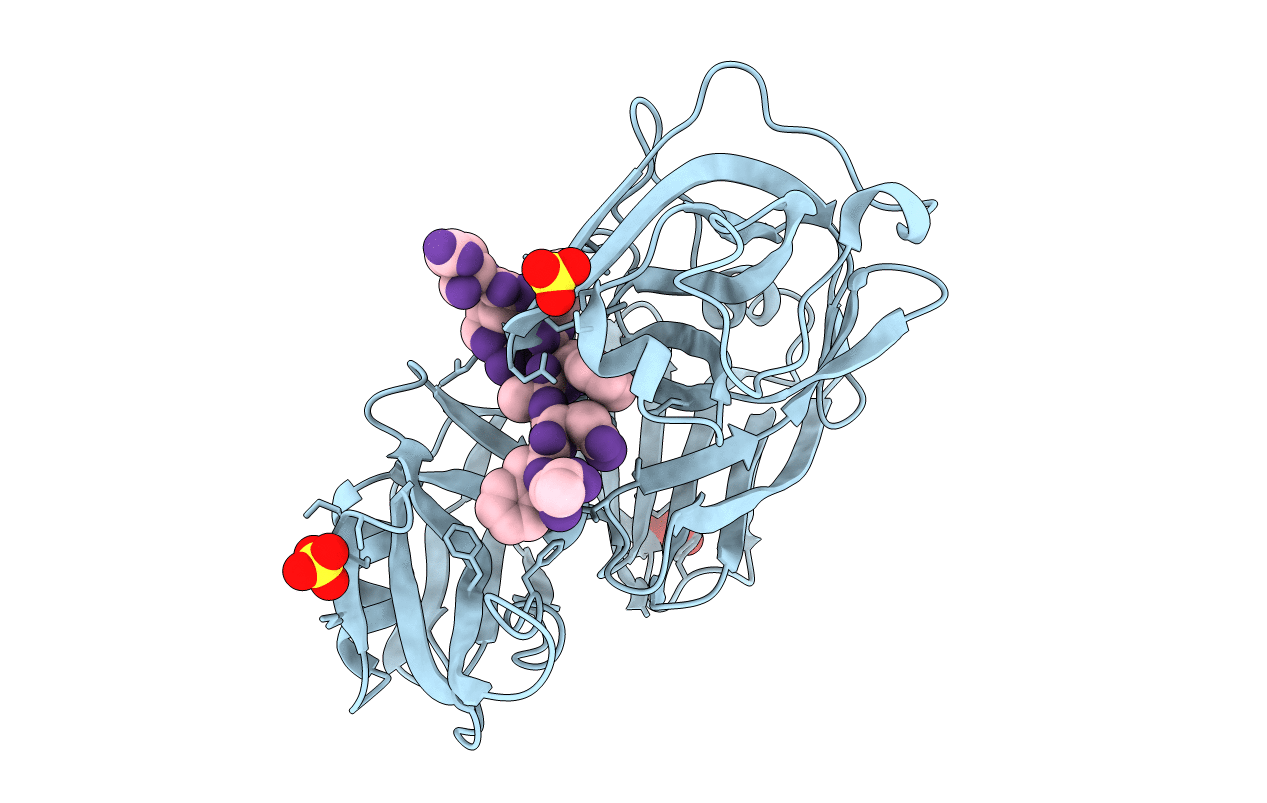 1EPM image