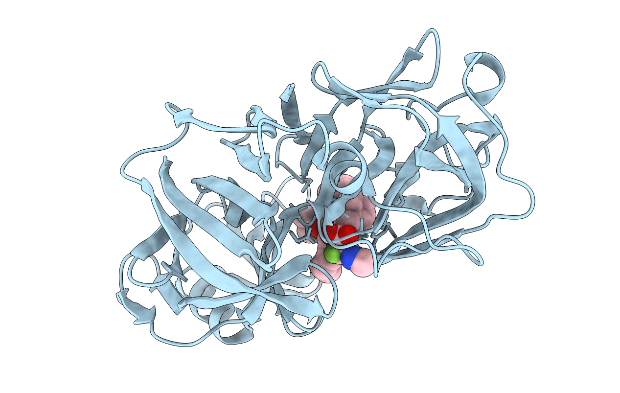 1EPO image