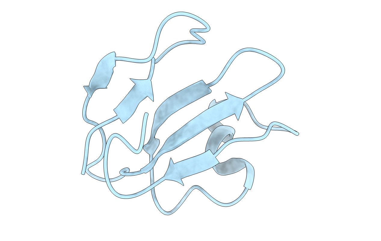 1ERG image
