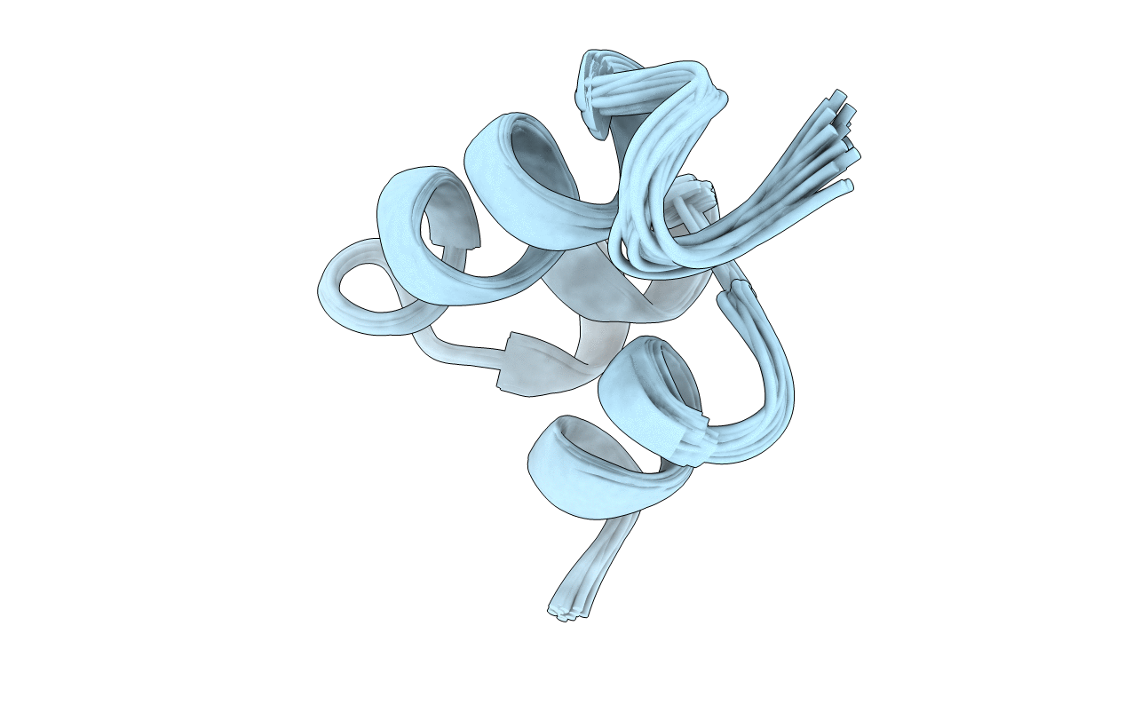 1ERP image