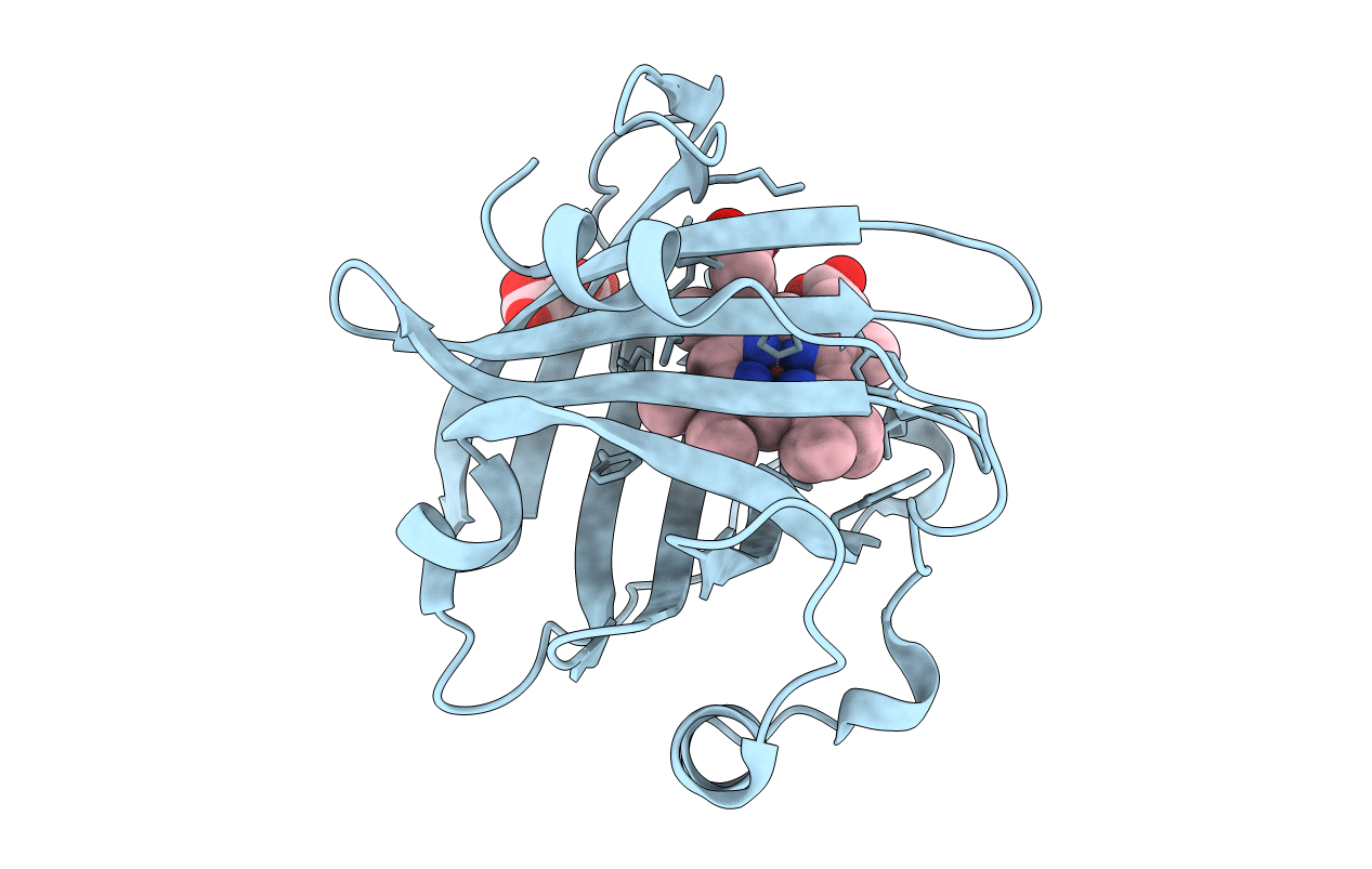 1ERX image