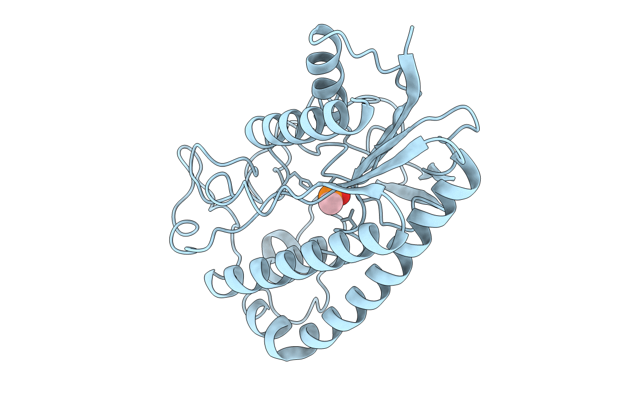 1ESD image