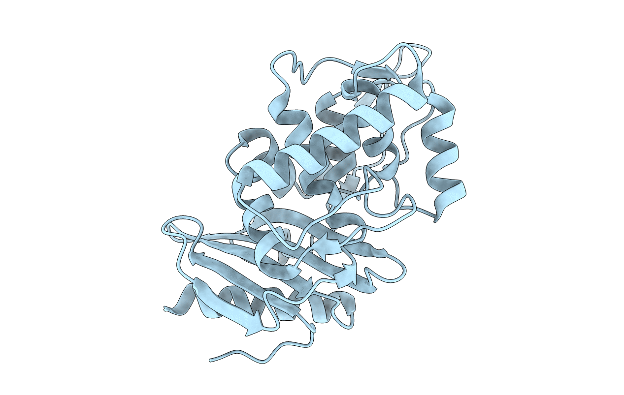 1ESI image