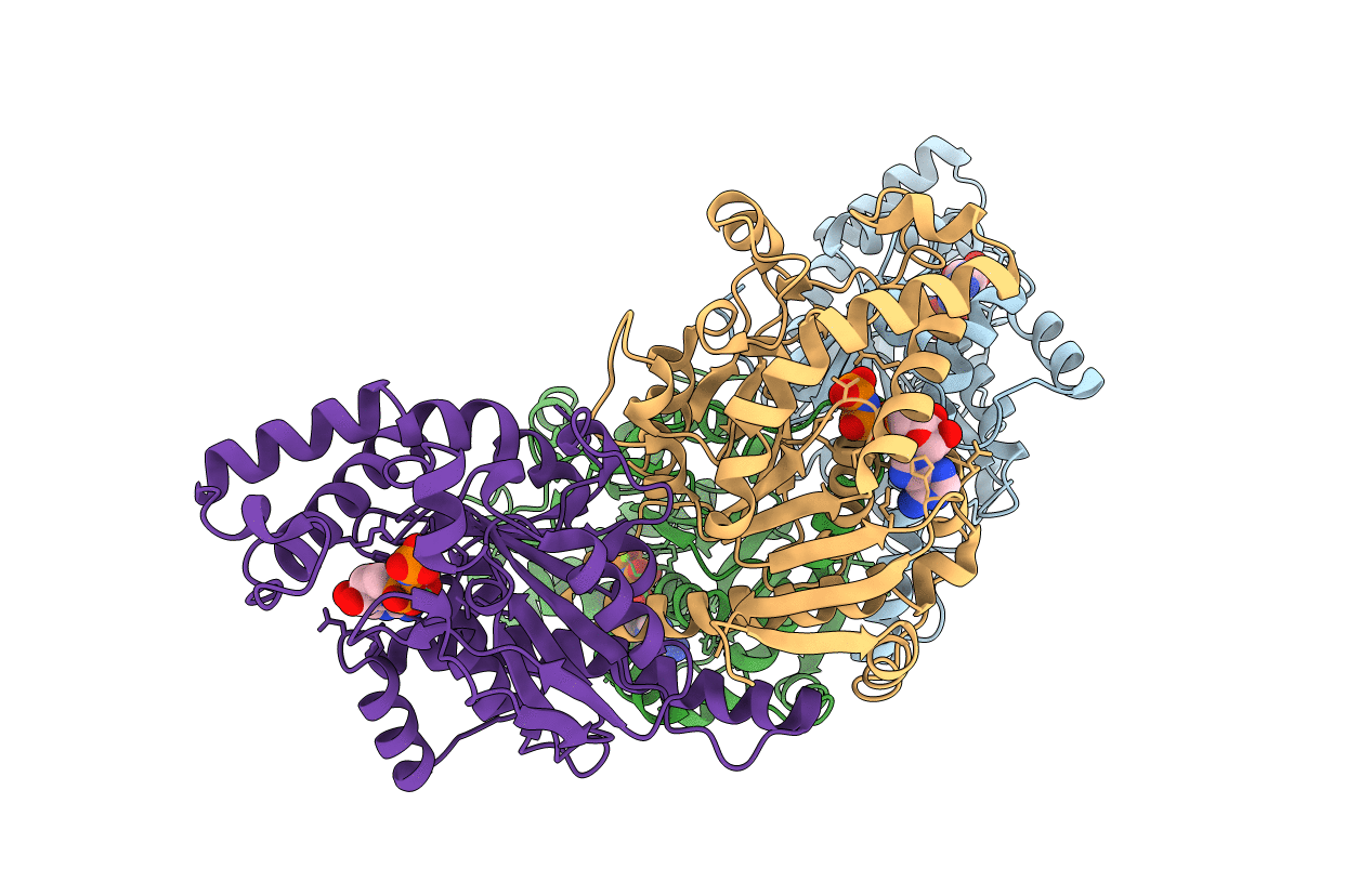 1ESN image